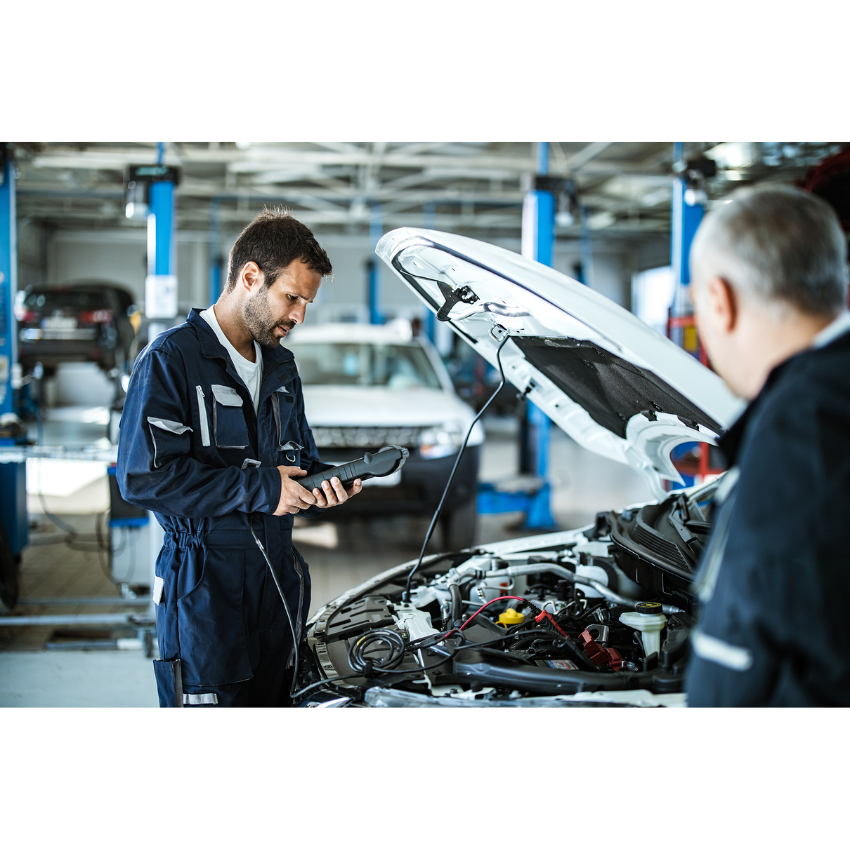 Inspección vehicular